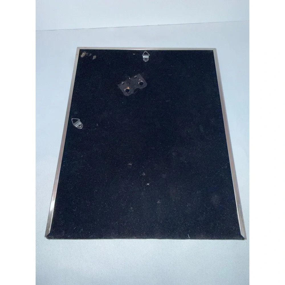 Silver Metal Embossed Feather Pattern Picture Frame with Mat 8.5x10.5